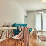Rent 2 bedroom apartment of 48 m² in Bílý Kostel nad Nisou