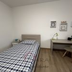 Rent a room of 90 m² in Padua