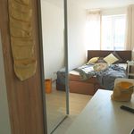 Rent 5 bedroom apartment in München