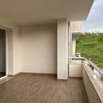 Rent 2 bedroom apartment of 65 m² in Colleferro