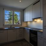 Rent 3 bedroom apartment of 80 m² in Bern