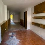 Rent 1 bedroom house of 45 m² in Cesenatico
