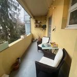 Rent 3 bedroom apartment of 75 m² in Basel