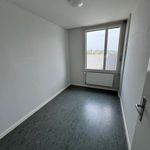 Miete 6 Schlafzimmer wohnung von 115 m² in Bern