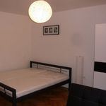 Rent 1 bedroom apartment of 55 m² in Ceské Budejovice