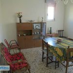 Rent 3 bedroom apartment of 70 m² in Alcamo