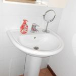 Rent 1 bedroom apartment of 35 m² in Pavia