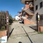 Affitto 3 camera appartamento di 70 m² in Corigliano-Rossano