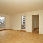 Rent 2 bedroom apartment of 59 m² in Dresden