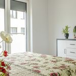 Wynajmij 3 sypialnię apartament z 70 m² w Bielsko-biała