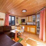 Rent 1 bedroom house of 16 m² in Klecany