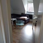 Rent 4 bedroom apartment of 83 m² in Nürnberg