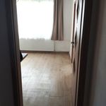 Rent 2 bedroom apartment of 41 m² in Dnešice