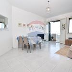 Rent 2 bedroom apartment of 65 m² in Mascali