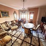 Rent 4 bedroom apartment of 129 m² in Torino