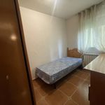 Alquilo 3 dormitorio apartamento de 90 m² en Alcalá de Henares