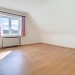 Rent 5 bedroom house of 300 m² in Overijse