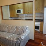 Rent 1 bedroom apartment of 50 m² in Gijón
