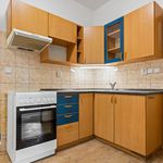 Rent 1 bedroom apartment of 50 m² in Náchod