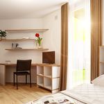 Miete 1 Schlafzimmer wohnung von 35 m² in Sankt Pölten