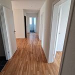 Rent 5 bedroom apartment in Delémont