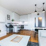 Rent 2 bedroom apartment of 58 m² in Praha