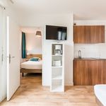 Appartement de 36 m² avec 1 chambre(s) en location à Pau