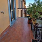 Rent 5 bedroom apartment of 120 m² in Frascati