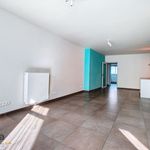 Rent 2 bedroom apartment in Zelzate