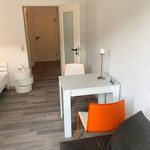 Rent 1 bedroom apartment of 27 m² in Magdeburg
