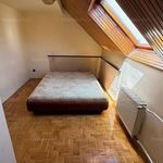 Rent 3 bedroom house of 160 m² in Budapest