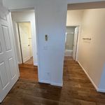 Rent 2 bedroom house of 102 m² in Dublin