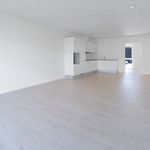 Rent 3 bedroom house of 84 m² in Silkeborg