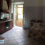 Affitto 4 camera appartamento di 80 m² in Zagarolo