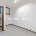 Affitto 4 camera appartamento di 147 m² in Torino