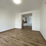 Rent 1 bedroom apartment of 36 m² in Vamberk