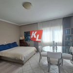 Ενοικίαση 4 υπνοδωμάτιο διαμέρισμα από 400 m² σε Athens