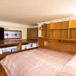 Rent 2 bedroom apartment of 40 m² in Roma