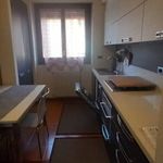 Rent 2 bedroom apartment of 67 m² in Monza
