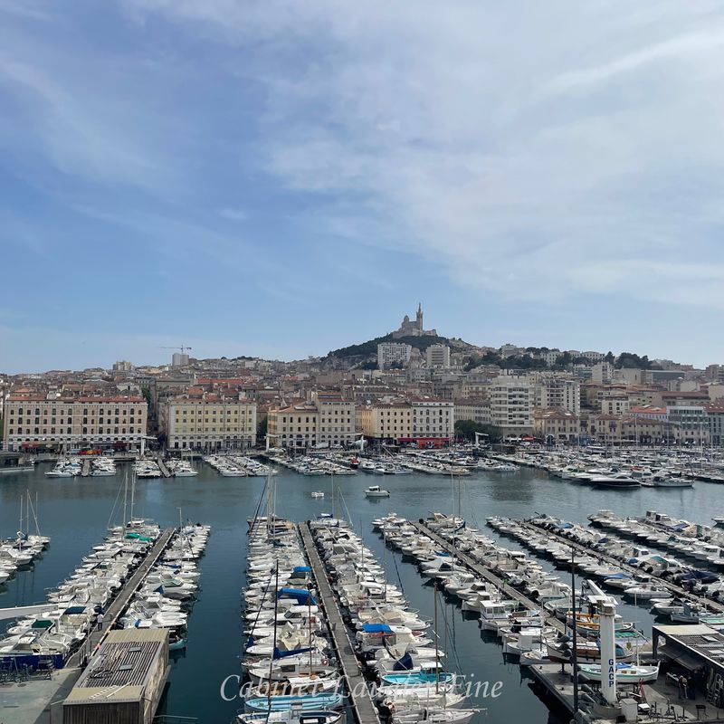 location appartement 1 pièce Marseille - Vieux port/ Hotel de ville