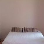 Alquilar 1 dormitorio apartamento en Mecerreyes