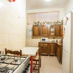 Rent a room of 75 m² in Roma