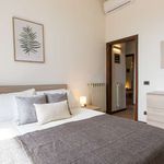 Rent 3 bedroom apartment in Firenze