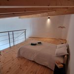 Rent 1 bedroom apartment of 30 m² in Pé da Serra
