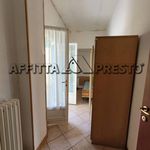 Rent 2 bedroom apartment of 40 m² in Vittorio Veneto