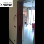 Rent 4 bedroom apartment of 110 m² in Piacenza