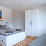 Rent 1 bedroom apartment of 29 m² in Basel