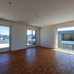 Rent 3 bedroom apartment of 84 m² in Bern