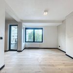 Rent 1 bedroom apartment of 48 m² in Gent