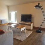 Rent 2 bedroom apartment of 45 m² in Albi